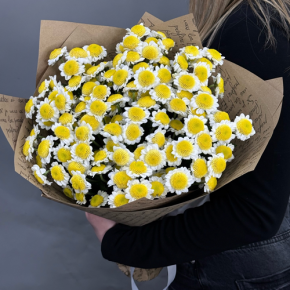 Букет "Моё солнышко" из 11 хризантем сантини  в Истре