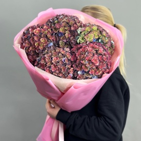 Букет из 5 космических Голландских гортензий в Истре