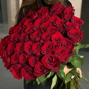 Букет 51 роза Эквадор Эксплорер (60 см) в Истре