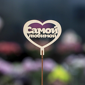 Топпер Самой Любимой в Истре