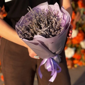 Букет лаванды (сухоцвет) в Истре