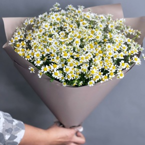 Букет из 17 ромашек танацетум в Истре