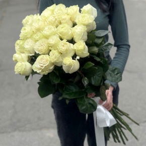 Монобукет из 25 роз Эквадор Мондиаль (80 см) в Истре