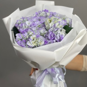 Букет из 5 фиолетовых гортензий в Истре