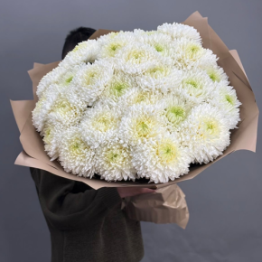 Букет из 27 хризантем Магнум в Истре