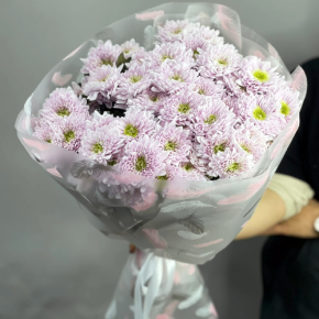 Букет "Нежный комплимент" из 9 кустовых хризантем в Истре