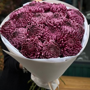 Букет 21 винной хризантемы Бигоуди в Истре