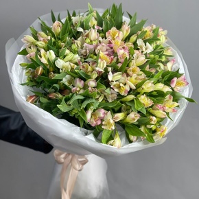 Букет "Зарина" из 37 альстромерий микс в Истре