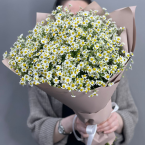 Букет из 17 полевых ромашек в Истре