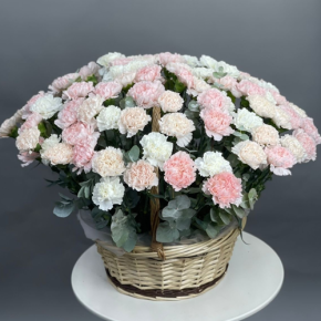 Композиция в корзине из 101 диантуса микс в Истре
