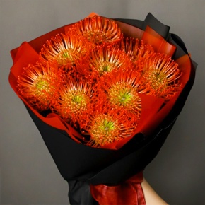 Букет из 9 лейко в Истре