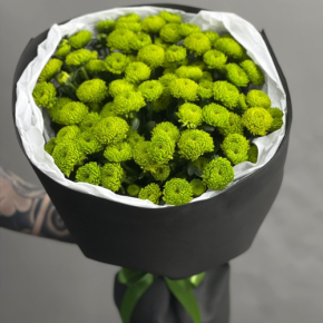 Стильный букет "Лайм" из 15 хризантем сантини в Истре