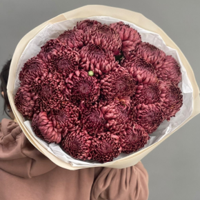 Букет 21 шоколадной хризантемы Бигоуди в Истре