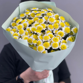 Букет "Моё солнышко" из 17 хризантем сантини  в Истре