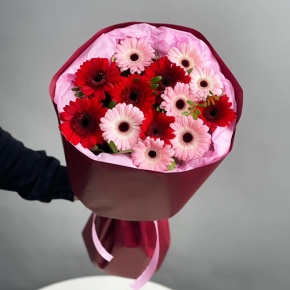 Букет "Румянец" из гербер микс в Истре