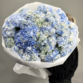 Букет из 23 синих гортензий в Истре