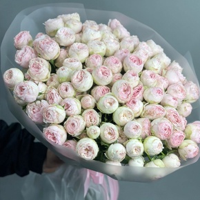 Букет из 25 кустовых пионовидных роз Мэнсфилд парк (50 см) в Истре