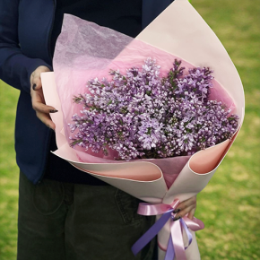 Букет из 11 веток сирени в Истре