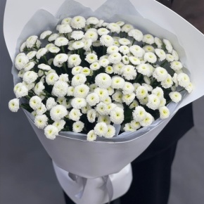 Букет "Белая дымка" из 25 хризантем сантини в Истре