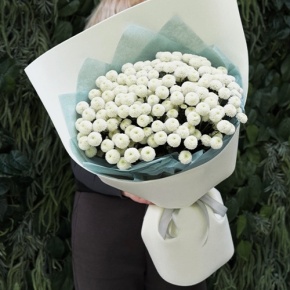 Букет из 25 хризантем Ньютон в Истре