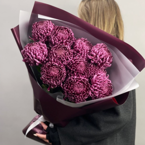 Букет "Изобилие" из 11 винных хризантем Бигоуди в Истре