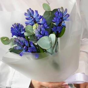 Букет "Мини" из 5 ароматных гиацинтов и эвкалипта в Истре