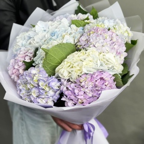 Букет из 9 Голландских гортензий микс в Истре