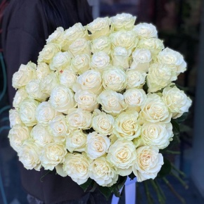 Букет из 51 розы Эквадор Мондиаль под ленту (80 см) в Истре