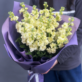 Букет из 15 лимонных маттиол в Истре