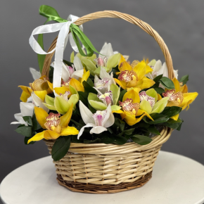 Композиция в корзине из 25 орхидей микс в Истре