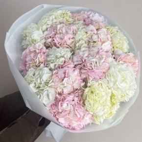 Букет из 17 нежных гортензий в Истре