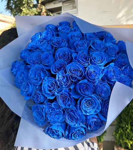 Букет из 51 синей розы Эквадор (60 см) в Истре