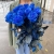 15 синих LUX роз Эквадор (70 см) в Истре