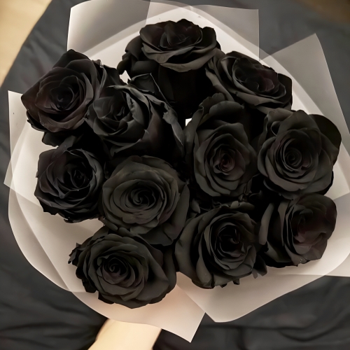 Букет "Черная королева" из 11 черных роз Эквадор (60 см) в Истре