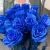 15 синих LUX роз Эквадор (70 см) в Истре