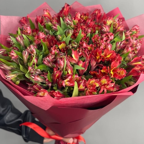 Монобукет из 25 красных альстромерий в Истре