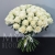 Букет 75 белых роз Эквадор Мондиаль (80 см) в Истре