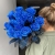 15 синих LUX роз Эквадор (70 см) в Истре
