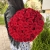 Букет 51 красной розы 50 см в Истре