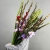 Букет из 25 гладиолусов микс в Истре