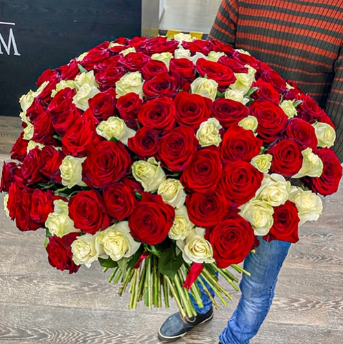 Букет 151 роза красный и белый микс (60 см) в Истре
