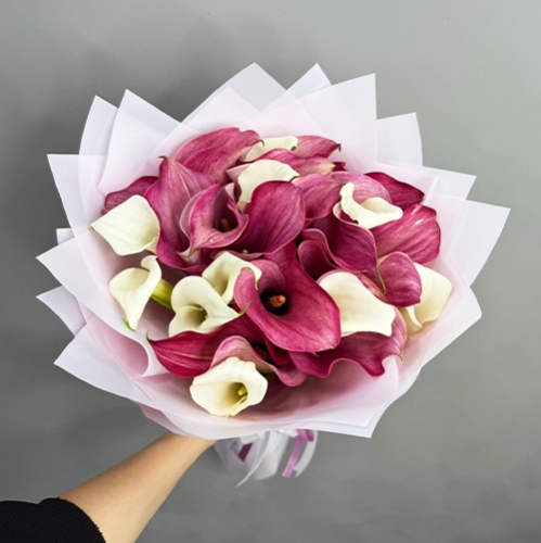 Букет из 25 нежных калл в Истре