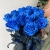 15 синих LUX роз Эквадор (70 см) в Истре