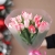 Букет "Фламинго" из 11 пионовидных тюльпанов в Истре