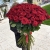 Букет из 101 красной розы (90 см) в Истре