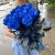 15 синих LUX роз Эквадор (70 см) в Истре
