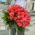 Букет 51 роза коралл (60 см) в Истре