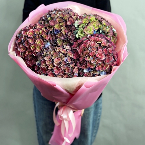 Букет из 5 космических Голландских гортензий в Истре