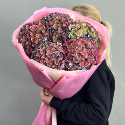 Букет из 5 космических Голландских гортензий в Истре